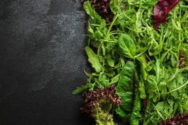 Bitkilerin üst görünümü koyu arkaplanda karışır