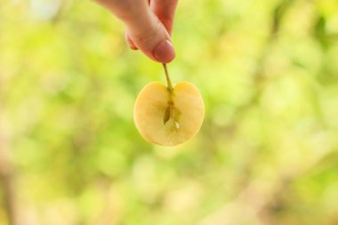 Elin yeşil elmayı tutuyor.