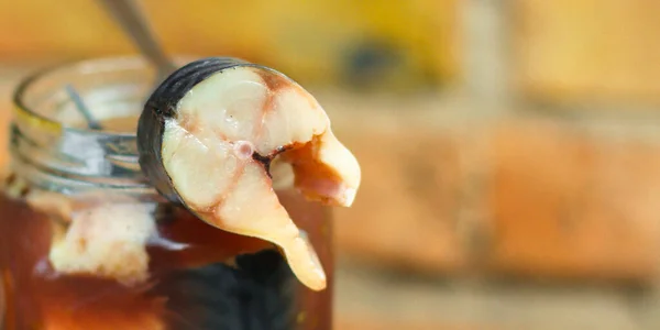 Uskumru Salamura Taze Tuzlu Balık Parçaları Yiyecek Arka Planı — Stok fotoğraf
