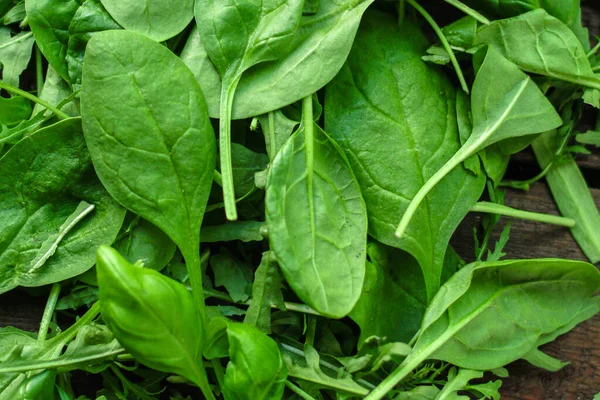 Verse Groene Spinazie Bladeren Een Zwarte Achtergrond — Stockfoto