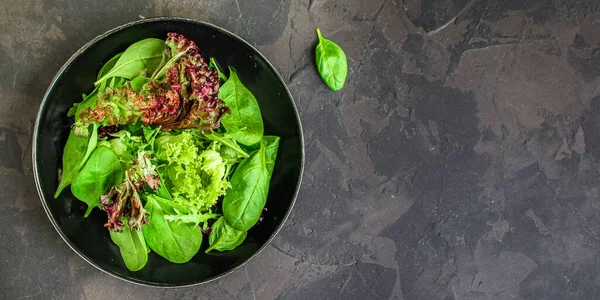 Salada Verde Com Arugula Espinafre Fundo Cinza Vista Superior — Fotografia de Stock