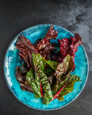 Chicory Marul üst görünümü terk eder