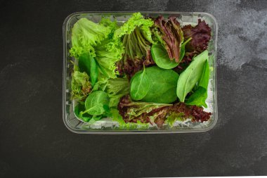 Marul, roka, domates, salatalık ve soğanlı taze salata.