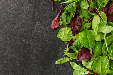 Salata yaprakları karışır, sulu atıştırmalıklar masanın üstünde yemeye hazırdır.