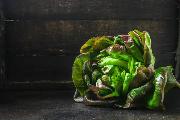 閉じるチコリレタス葉物野菜 — ストック写真