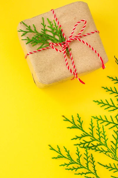 Vista Dall Alto Della Confezione Regalo Con Nastro Ramoscelli Verdi — Foto Stock