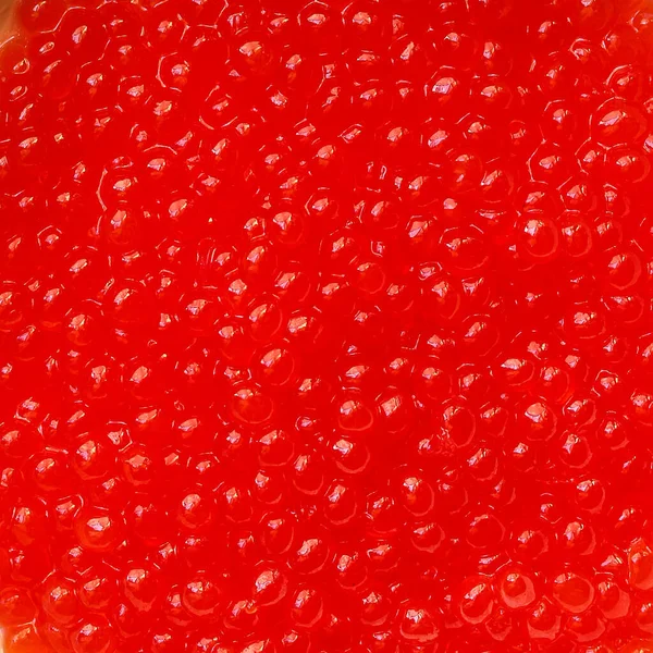 Červený Kaviár Mořské Plody Lososí Kaviár Pojetí Menu Jídlo Pozadí — Stock fotografie