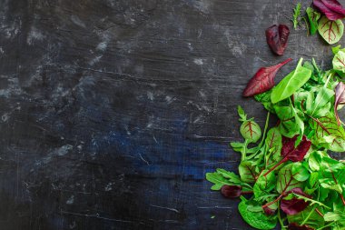 Taze yeşil, fesleğen, roka, yapraklar, otlar ve baharatlar.