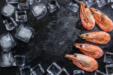 Koyu yüzeyinde buz küpleri olan karideslerin üst görüntüsü