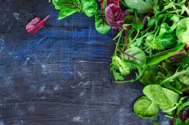 Taze yeşil, fesleğen, roka, yapraklar, otlar ve baharatlar.