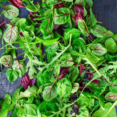 Taze yeşil, fesleğen, roka, yapraklar, otlar ve baharatlar.