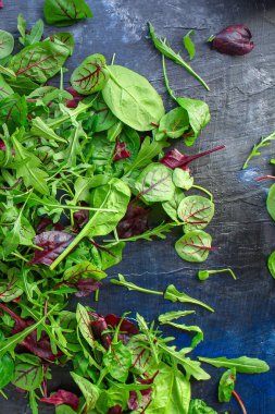 Taze yeşil, fesleğen, roka, yapraklar, otlar ve baharatlar.