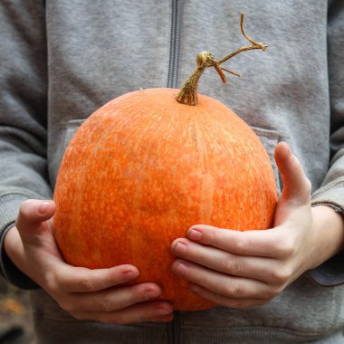 Balkabağını yakından tutan kişi