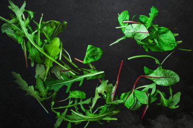 Siyah arka planda taze ıspanak ve fesleğen yaprakları