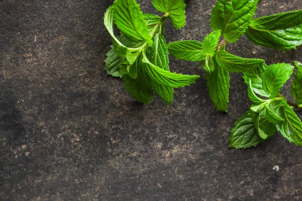 Daun Mint Latar Belakang Gelap — Stok Foto