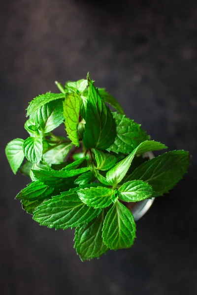 Daun Mint Latar Belakang Gelap — Stok Foto