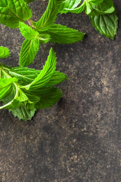 Daun Mint Latar Belakang Gelap — Stok Foto