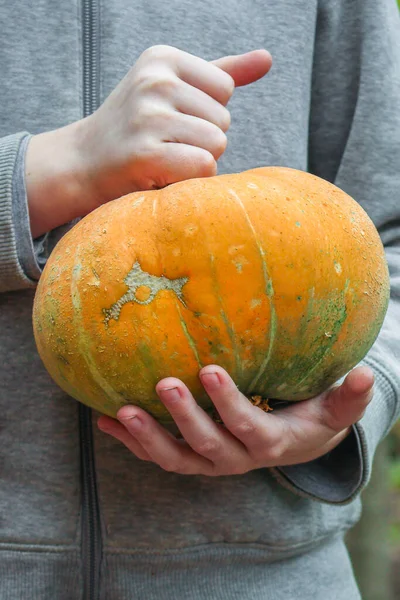 Person Som Håller Pumpa Närbild — Stockfoto