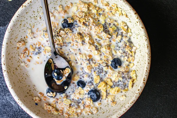 Puncak Tampilan Bubur Dengan Biji Chia Dan Berry — Stok Foto