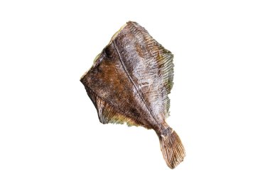 Çiğ çiğ balık. İkinci tabakta taze deniz ürünleri. Sağlıklı malzemeler. Üst görünüm yiyecek arka planı  
