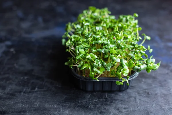 Fresh Green Lettuce Leaves Bowl Black Background — Foto Stock