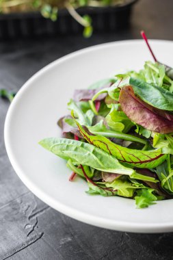 Masanın üzerinde taze yeşil salata yaprakları sağlıklı yemek atıştırmalıkları arka plan kırsalının fotokopisi. Top view keto ya da paleo diyet vejetaryen ya da vejetaryen yemekleri