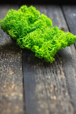 Dekorasyon ya da iç dekorasyon için dekoratif yosun yeşili. Kapalı alanda yaşayan bitki örtüsü. Fotokopi alanı arka planı. en üstteki görünüm