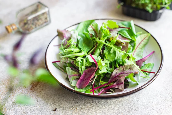 Foglie Fresche Insalata Verde Piatto Sul Tavolo Pasto Sano Copia — Foto Stock