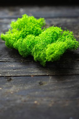 dekorasyon için yeşil yosun dekoratif iç bitki örtüsü kapalı santral fotokopi alanı rustik arkaplan 