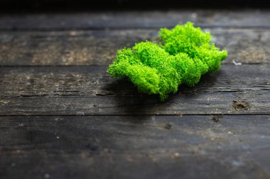 dekorasyon için yeşil yosun dekoratif iç bitki örtüsü kapalı santral fotokopi alanı rustik arkaplan 