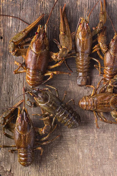 Rivierkreeft Vers Klaar Koken Rauw Product Maaltijd Snack Tafel Kopiëren — Stockfoto