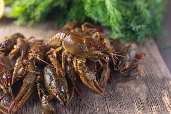 Kreeften Vers Klaar Koken Rauwe Product Maaltijd Snack Tafel Kopiëren — Stockfoto