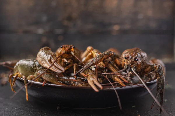 Rivierkreeft Vers Klaar Koken Rauw Product Maaltijd Snack Tafel Kopiëren — Stockfoto