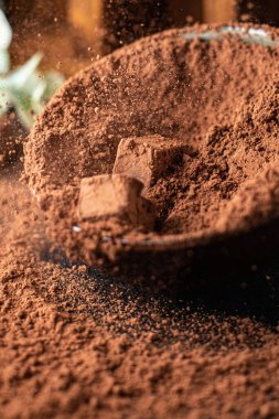 Çikolatalı yer mantarı ve kakao tozu. Doğal tatlı. Masada atıştırmalıklar.