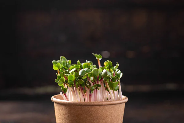 Microverde Ravanello Petali Verdi Fresche Piantine Cibo Crudo Porzione Fresca — Foto Stock