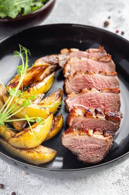 Ördek göğsü ve garnitür ikinci tabak taze porsiyon yemek için hazır yemek fotokopisi arka plan kırsalında. üst görünüm keto veya paleo diyeti