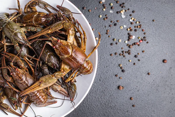 Rivierkreeft Vers Klaar Koken Zeevruchten Rauwe Product Maaltijd Snack Tafel — Stockfoto