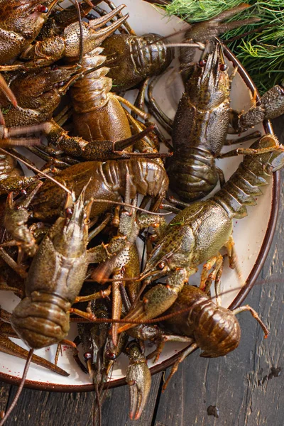 Rivierkreeft Vers Klaar Koken Zeevruchten Rauwe Product Maaltijd Snack Tafel — Stockfoto