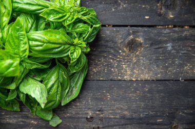 Fesleğen taze yeşil taç yaprakları aromatik baharatlı taze porsiyon fotokopi makinesinin arka planında atıştırmaya hazır. en üstteki görünüm