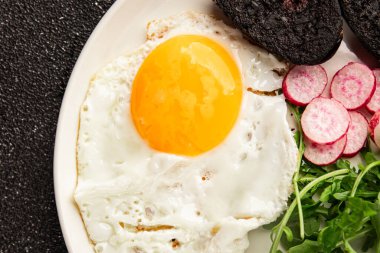 Yumurtalı puding, yumurta, sebze, roka porsiyon doğal ürün çerez lezzetli leziz gurme yemek arka planı masanın kırsal kesiminde fotokopi alanı