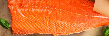 Salmon fillet raw red fish seafood dish natural tasty snack fresh delicious gourmet food background on the table rustic top view copy space pescetarian diet