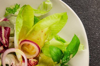 Hindiba salatası yeşil yaprak karışımı sebzeler... doğal ürün... lezzetli yemek... lezzetli gurme yemek... masanın üstünde... kırsal üst görünüm... fotokopi alanı... keto ve paleo diyet vegan ve vejetaryen yiyecekler.