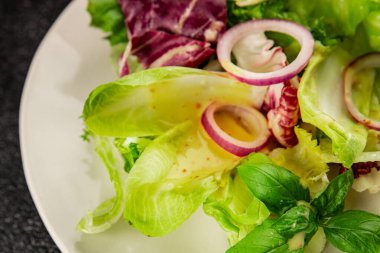Hindiba salatası yeşil yaprak karışımı sebzeler... doğal ürün... lezzetli yemek... lezzetli gurme yemek... masanın üstünde... kırsal üst görünüm... fotokopi alanı... keto ve paleo diyet vegan ve vejetaryen yiyecekler.