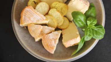 Peynir tabağı farklı peynir çeşidi aperatif lezzetli aperatif lezzetli gurme yemek arkaplanı masanın kırsal kesiminde fotokopi alanı