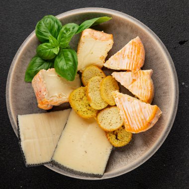 Peynir tabağı farklı peynir çeşidi aperatif lezzetli aperatif lezzetli gurme yemek arkaplanı masanın kırsal kesiminde fotokopi alanı