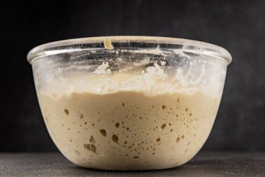 Çiğ hamur mayası başlangıç için lezzetli aperatif lezzetli gurme yemek masası arka plan kırsal yemek üst görünüm fotokopi alanı