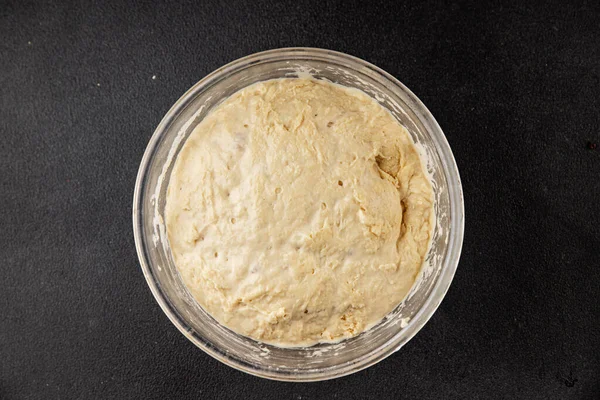 Çiğ hamur mayası başlangıç için lezzetli aperatif lezzetli gurme yemek masası arka plan kırsal yemek üst görünüm fotokopi alanı