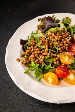Mercimek salatası sebzeleri, domates, yeşil yaprak marul lezzetli aperatif lezzetli lezzetli gurme yemek masası kırsal üst görünüm fotokopi alanı keto ve paleo diyet vejetaryen ve vejetaryen yemekleri.