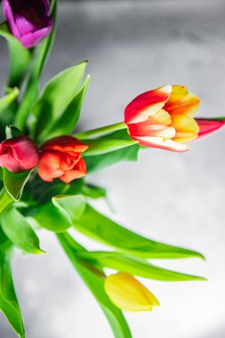 Açık arkaplanda güzel bir lale çiçeği buketi