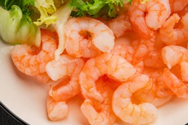 Karides salatası deniz ürünleri aperatifler lezzetli aperatifler taze gurme yemek arka planı masa rustik gıdalar üst görünüm fotokopi alanı pesseeter diyet